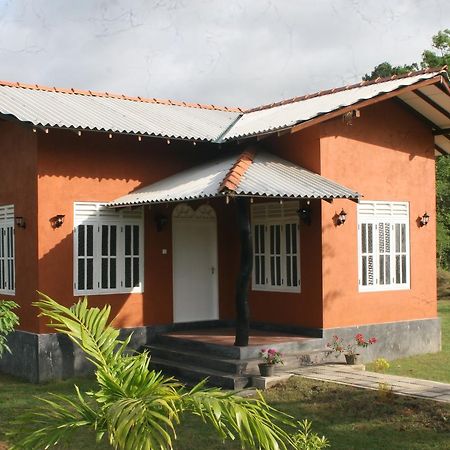Ritigala Lodge Habarana Exteriör bild